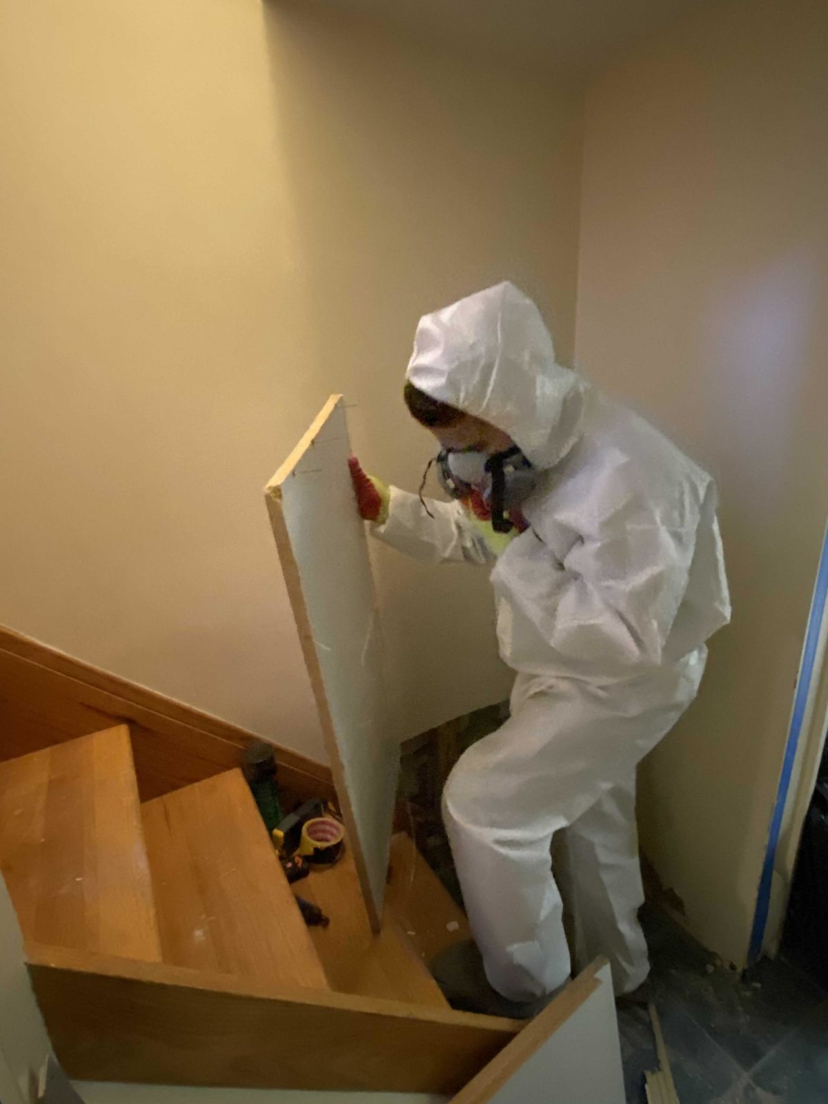 Mold removal nyc menchy restoration